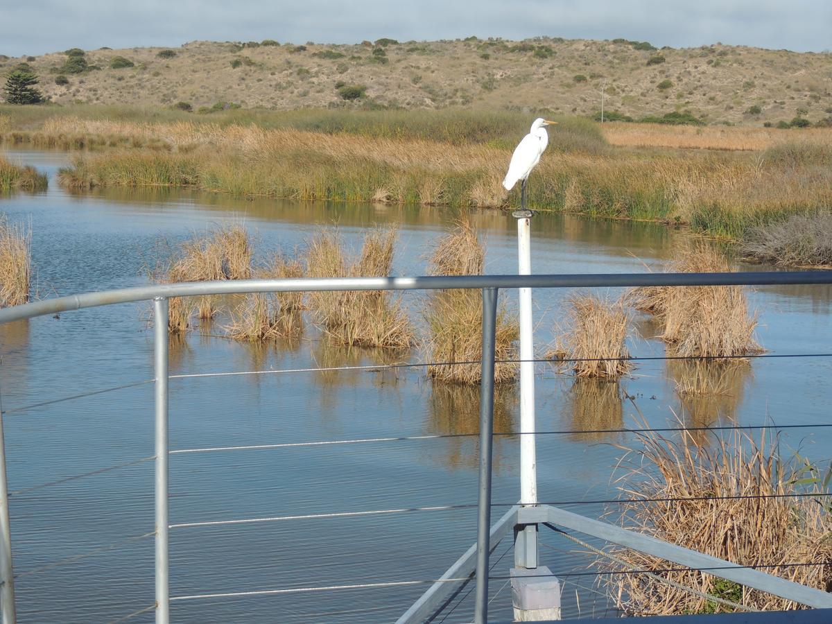 Ps Federal Retreat Paddle Steamer Goolwa Luaran gambar